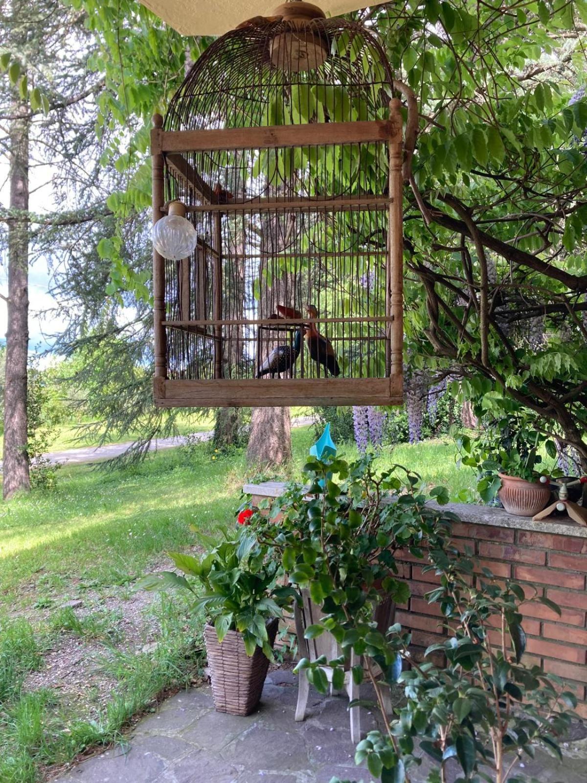 B&B Mama Ro Cesena Buitenkant foto