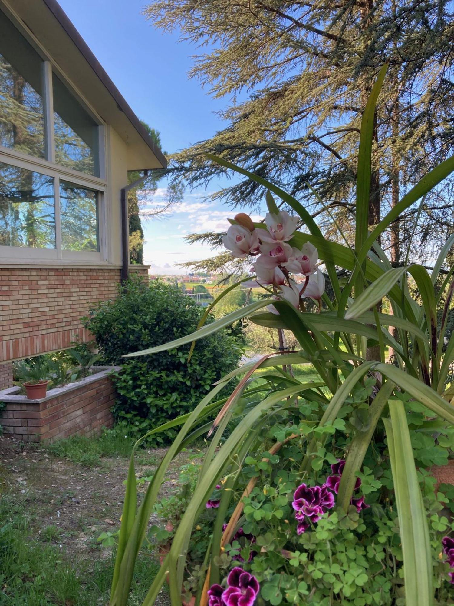 B&B Mama Ro Cesena Buitenkant foto